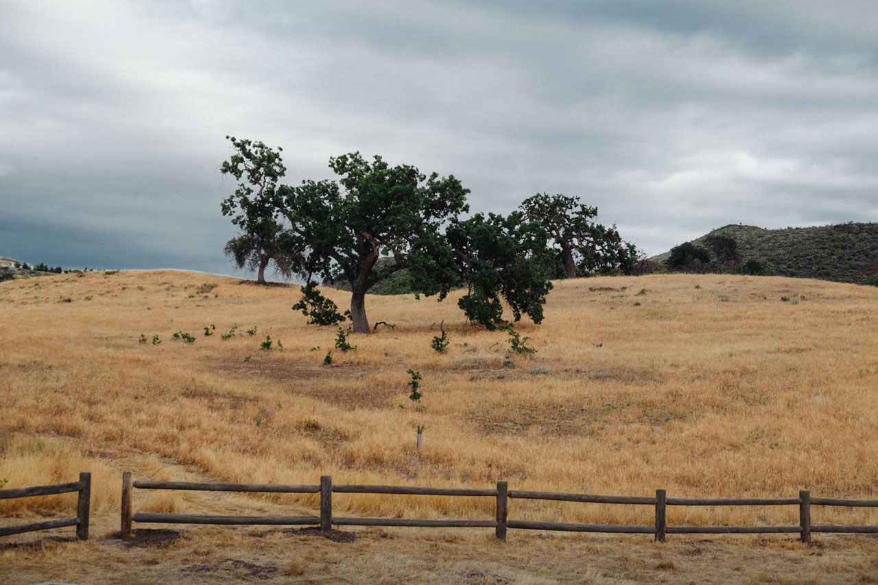 Cheeseboro Canyon - Let's Photo Trip