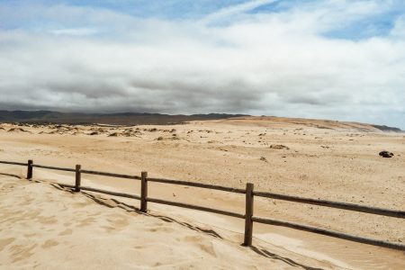 Coastal Journey to the Guadalupe Dunes